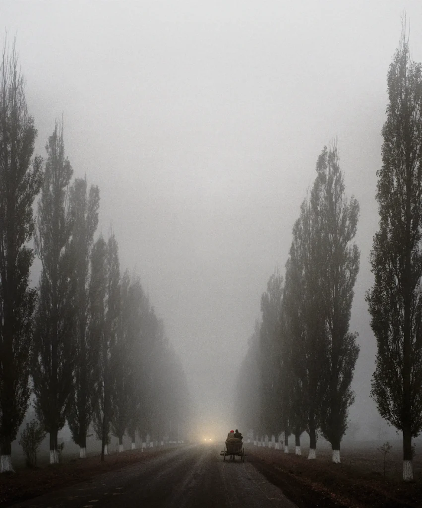 Pentti Sammallahti Matkalla kotiin, Transilvania